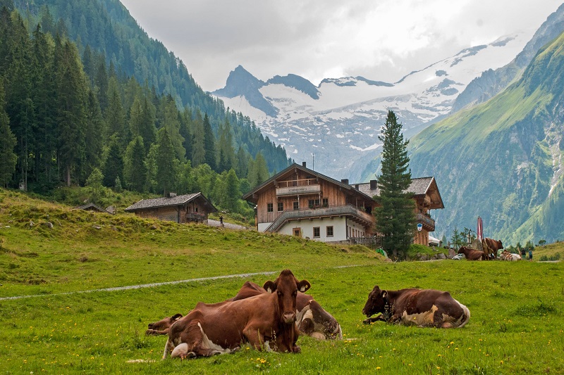 Auf Klassenfahrt Bayerische Alpen Alm sehen