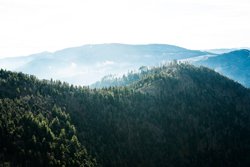 Klassenfahrt Schwarzwald